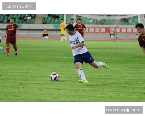 斯洛文尼亚足球明星闪耀绿茵赛场书写不屈拼搏与荣耀传奇