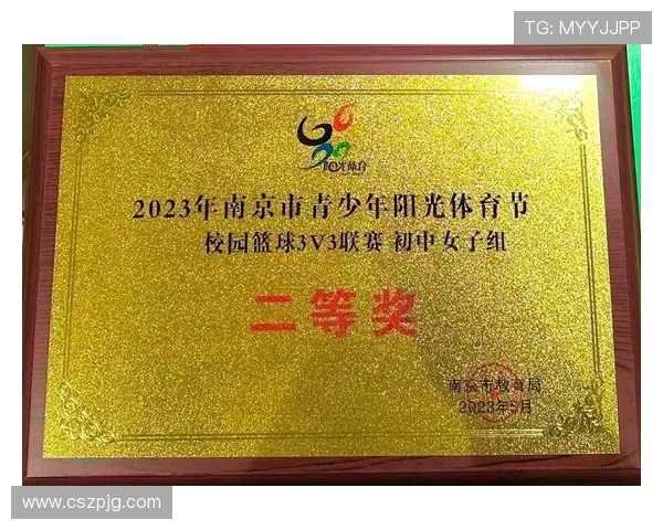 南京篮球队近期状态分析与表现评估探讨