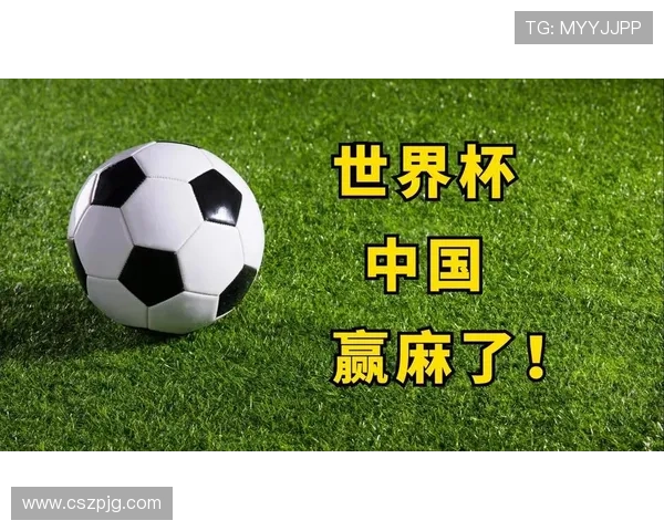 广州足球队崛起之路:世界杯预选赛背后的奋斗与荣耀 广州足球队崛起之路:世界杯预选赛背后的奋斗与荣耀
