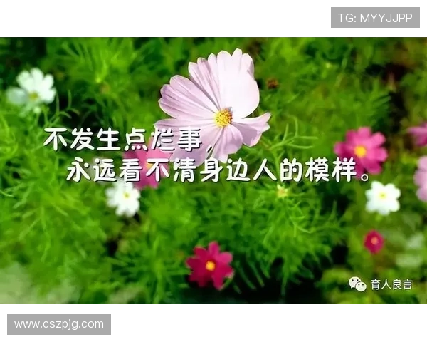 张秀英的排球旅程:从赛场辉煌到人生感悟的深度对话 张秀英的排球旅程:从赛场辉煌到人生感悟的深度对话