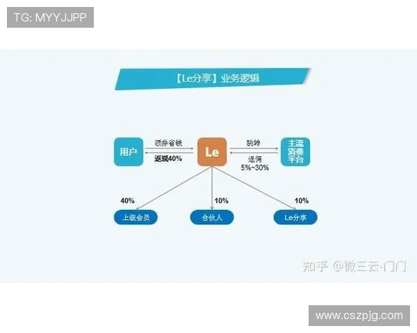 深圳足球队运营模式深度解析与未来发展展望